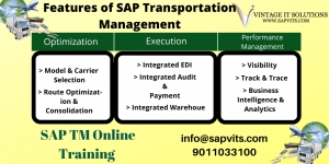 SAP Transport Management Module | SAP TM Technical Training